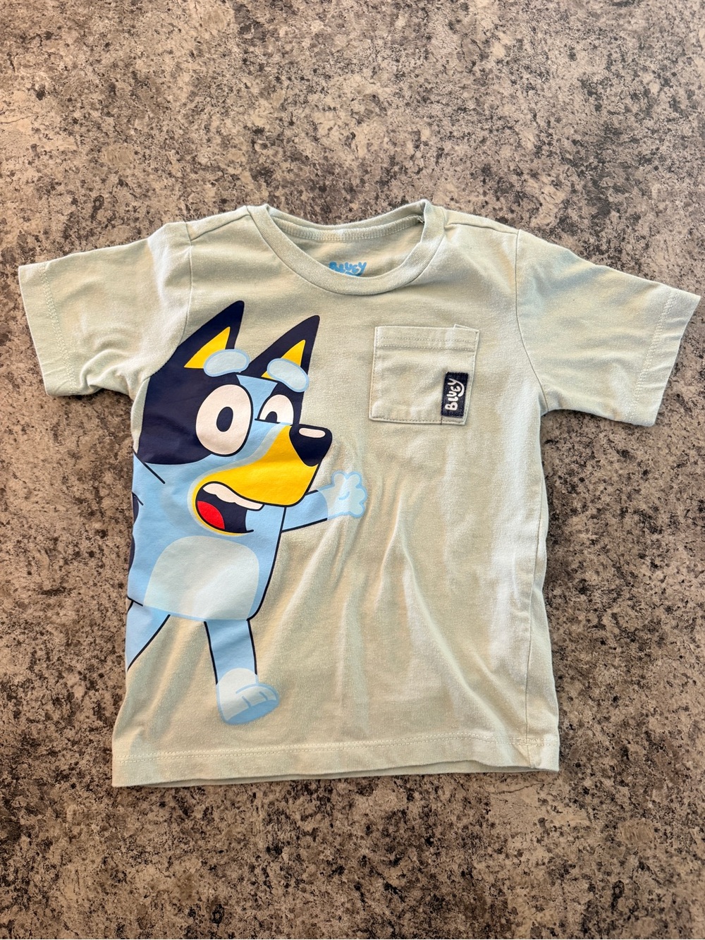 Bluey Bingo Toddler 4T Light Green T Shirt Pocket Front Back Graphic Tee